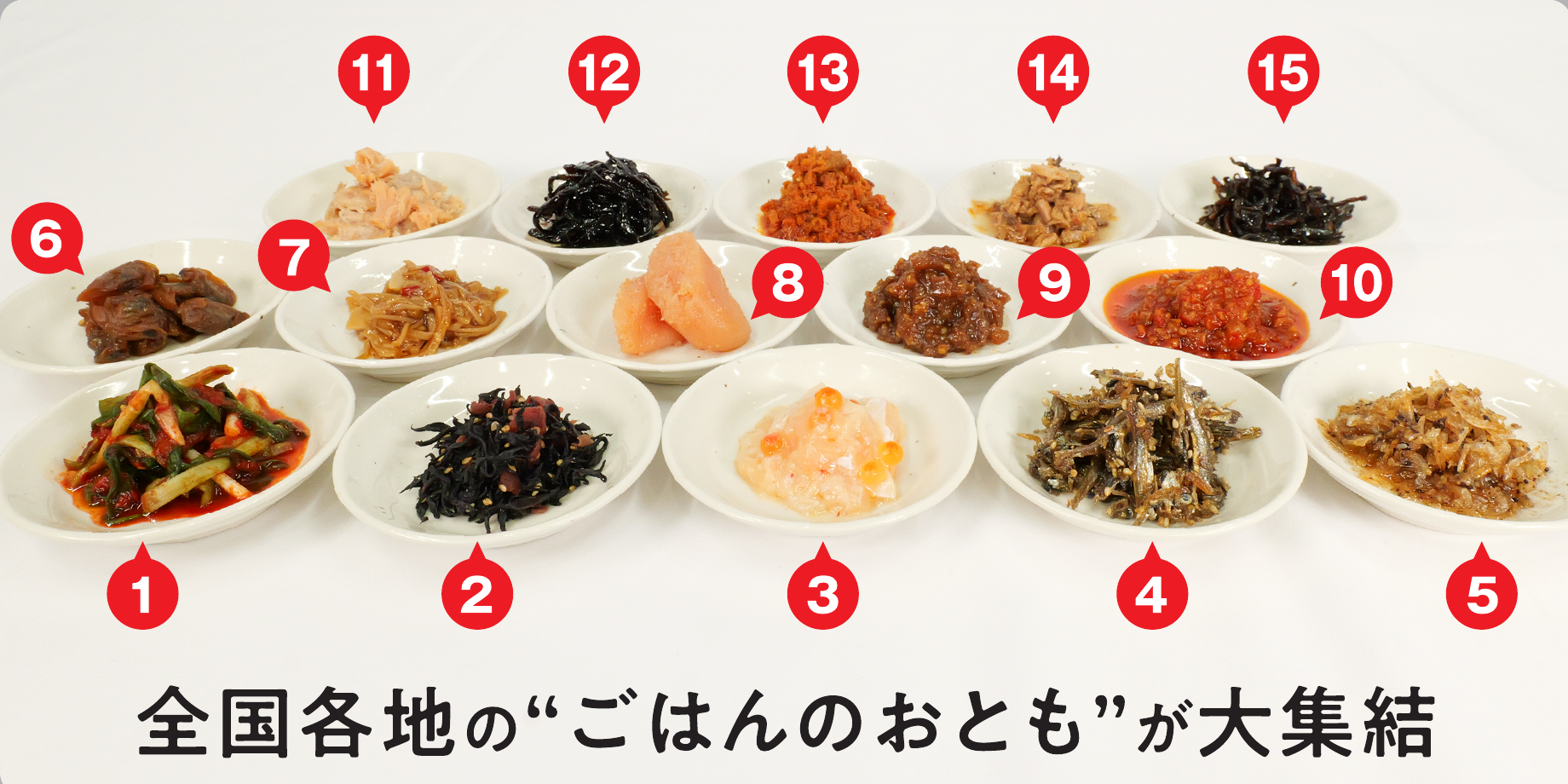 全国各地のごはんのおとも15種