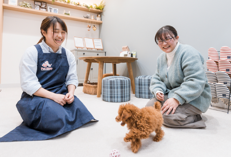 ブリーダー提携に関するイメージ