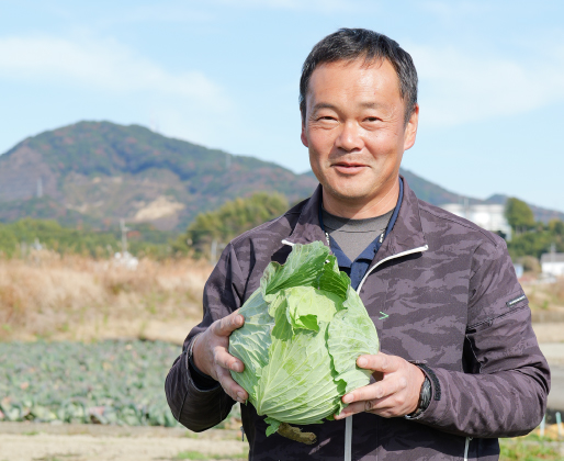 前田さんのキャベツ