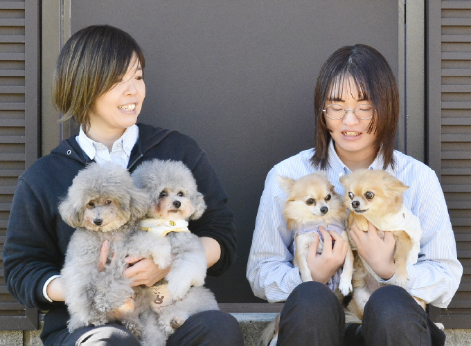 ワンちゃんのようちえん